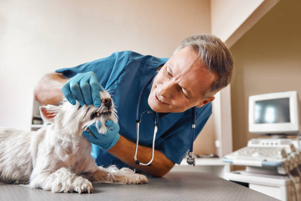 Best Emergency Dental Surgery in Indian Lake, TX